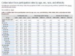 labor participation by age.jpg