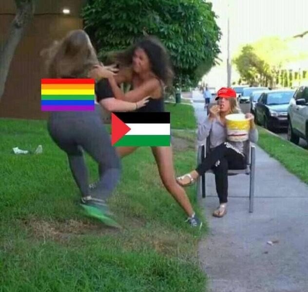 Rainbow vs Pal.JPG