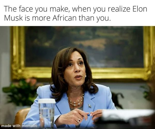 Kamala Elon.jpg